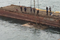 Restoration of the anchor device of the floating dock No. 154.